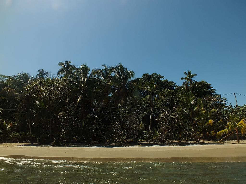 Cabinas Caribe Luna カウイータ エクステリア 写真
