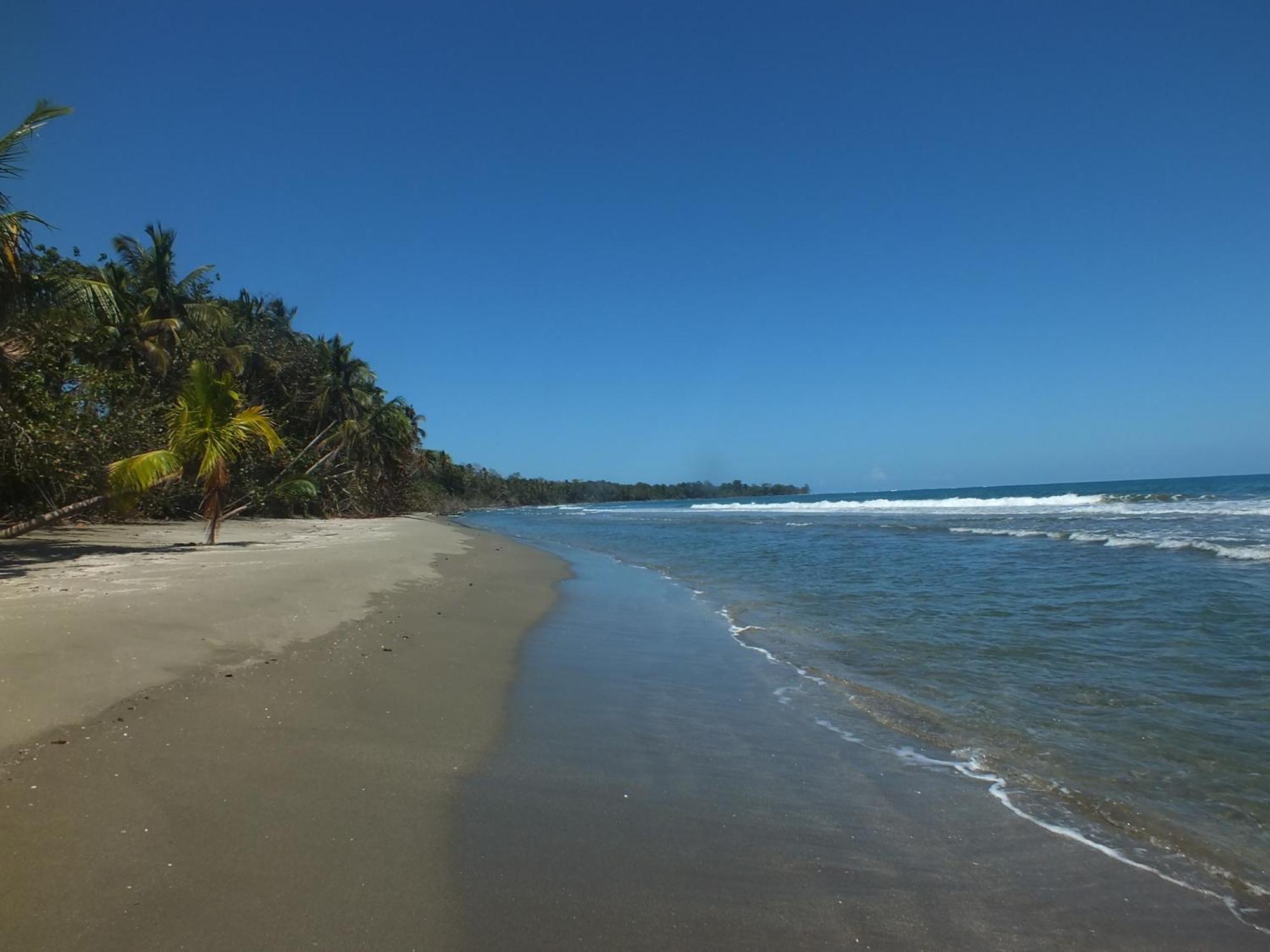 Cabinas Caribe Luna カウイータ エクステリア 写真