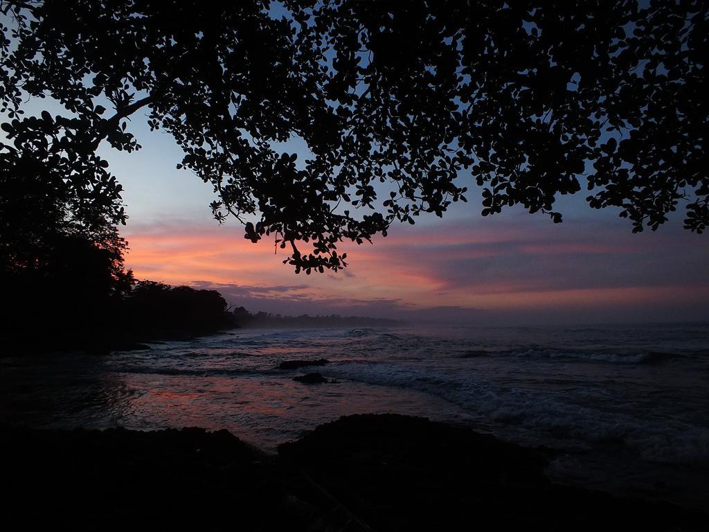 Cabinas Caribe Luna カウイータ エクステリア 写真