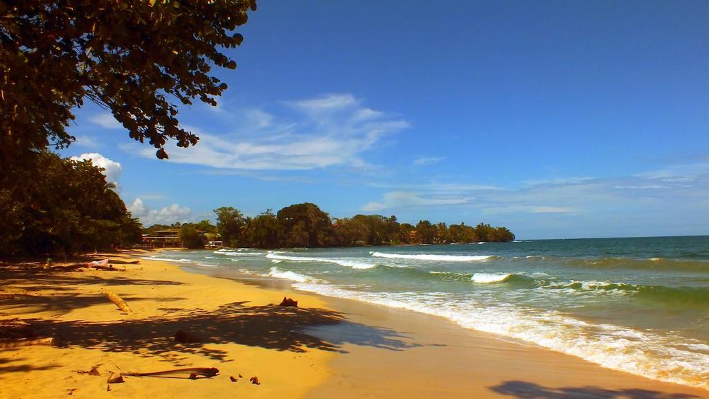Cabinas Caribe Luna カウイータ エクステリア 写真