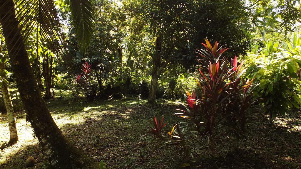 Cabinas Caribe Luna カウイータ エクステリア 写真