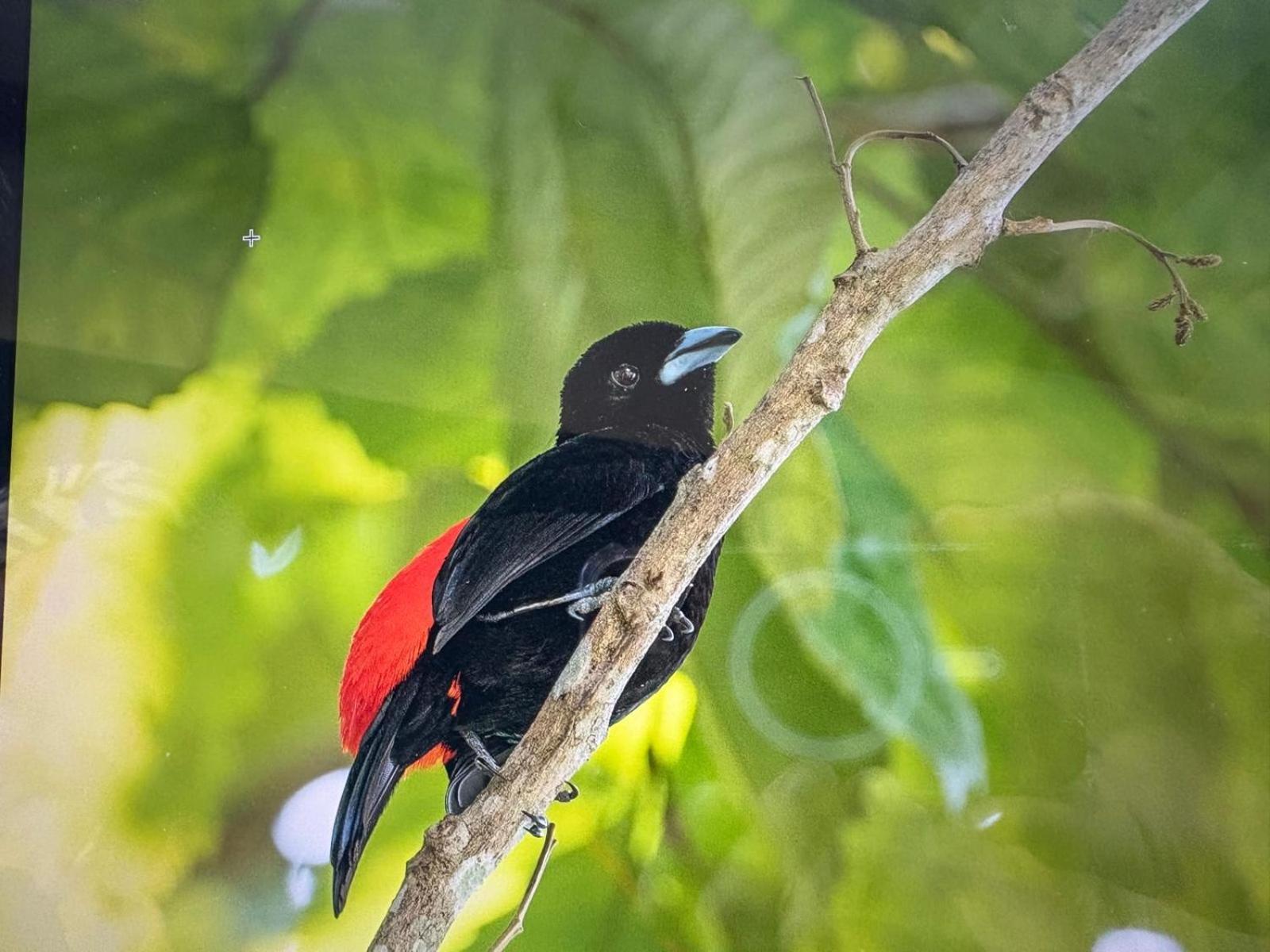 Cabinas Caribe Luna カウイータ エクステリア 写真
