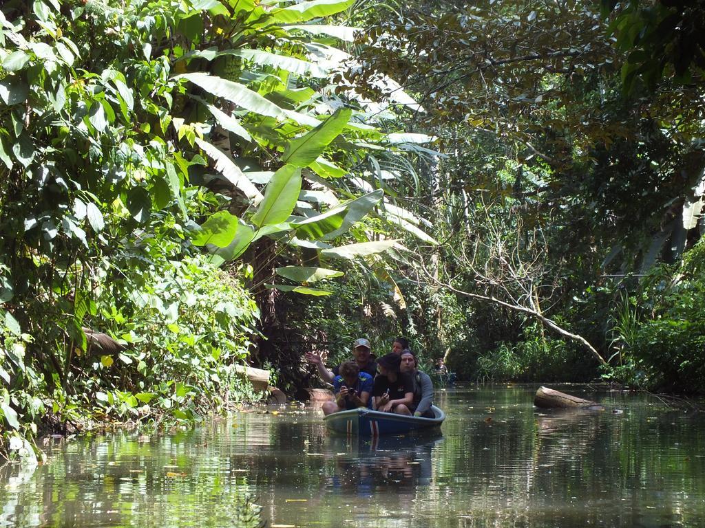 Cabinas Caribe Luna カウイータ エクステリア 写真