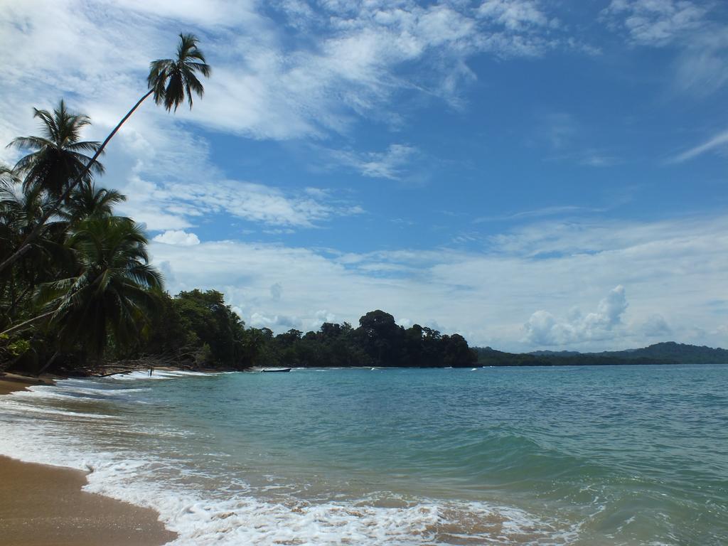 Cabinas Caribe Luna カウイータ エクステリア 写真
