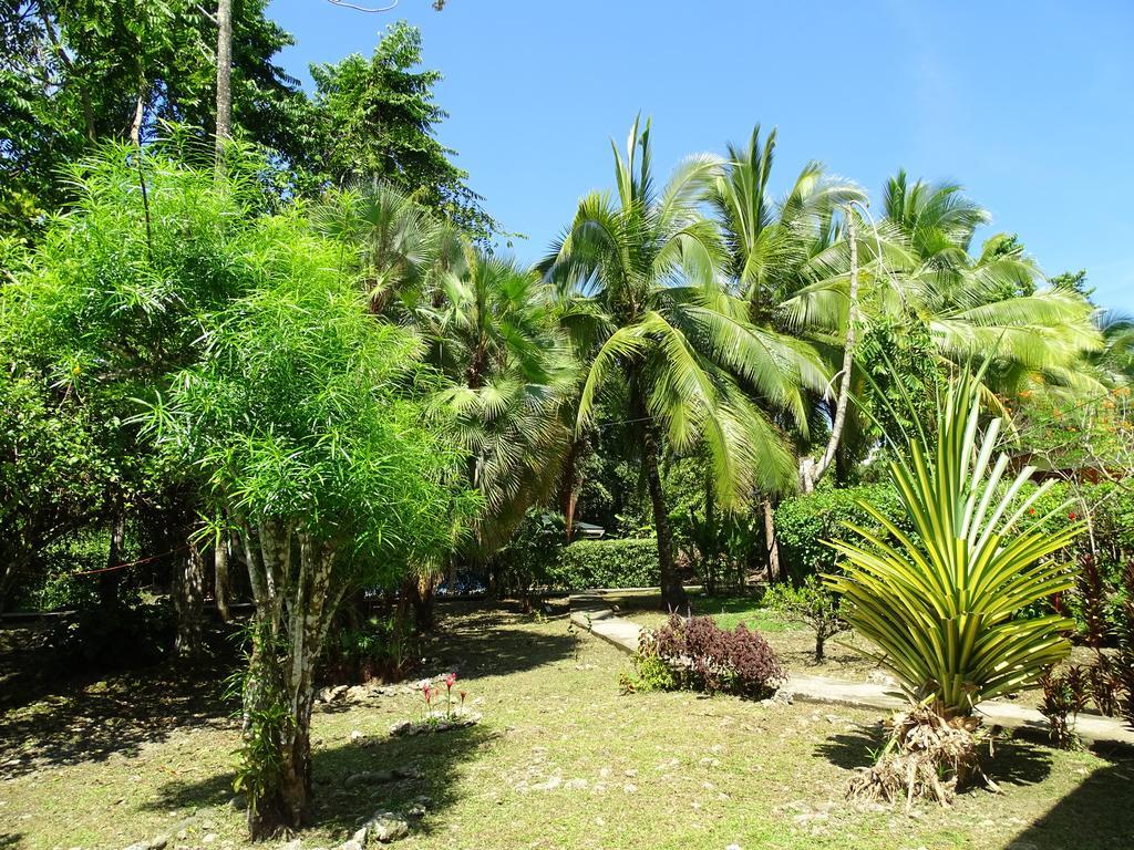 Cabinas Caribe Luna カウイータ エクステリア 写真