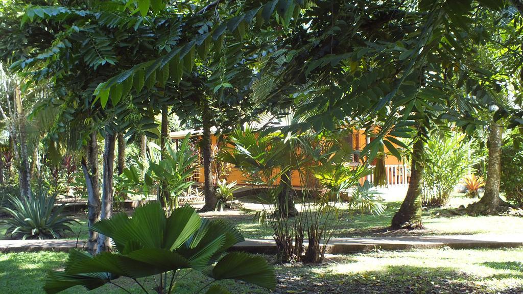 Cabinas Caribe Luna カウイータ エクステリア 写真